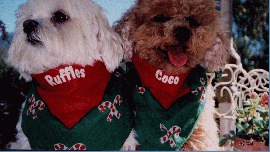 Coco and Ruffles
